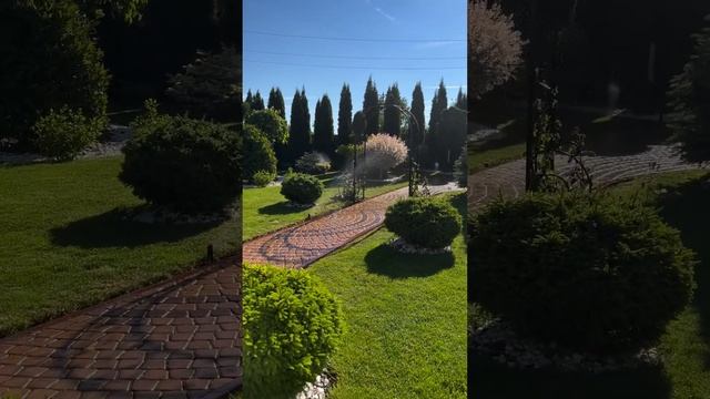 Благоустройство территории от проекта до реализации в Москве и Московской области #благоустройство