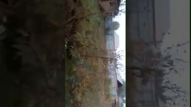 Хонай фуруши дар Дангара 931171794 907112743 Вайбер Имо хастаь бародаро Лаик моне то хама бина смотреть онлайн