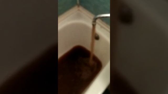 и так каждую неделю, бывает по несколько раз! г Санкт - Петербург . Коллонтай 23/2. смотреть онлайн