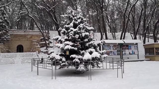 Маленькая Ёлка в Ессентуках 20180113 135018 смотреть онлайн