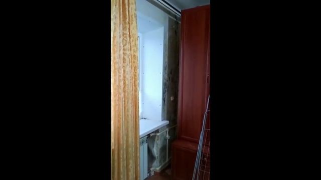 Ипотечная квартира покрылась черной плесенью в Волгограде смотреть онлайн