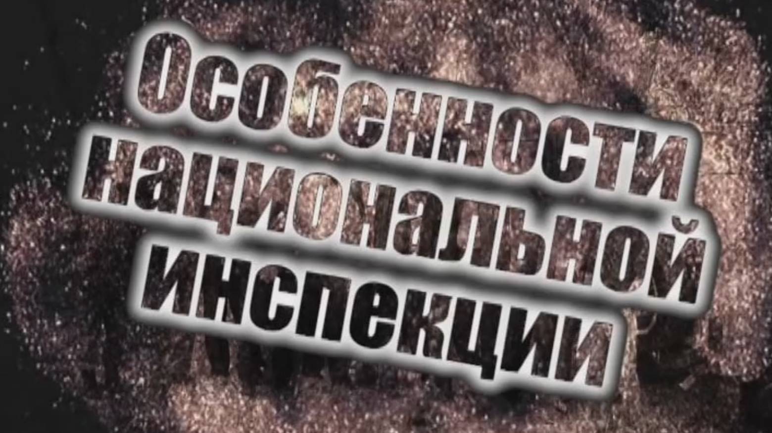 Особенности национальной инспекции 3