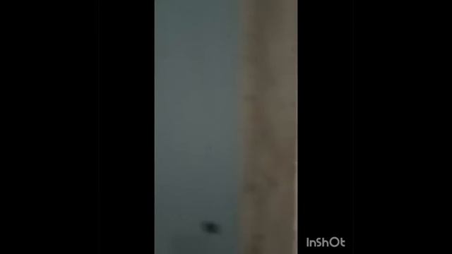 Продается 3-х комнатная в Одинцово смотреть онлайн