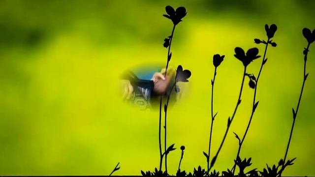 Поступок сына и внука ,отменили ее решение покинуть семью, смотреть онлайн