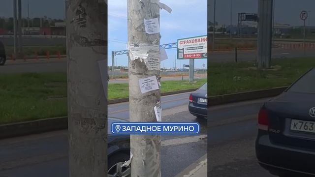 Мурино смотреть онлайн