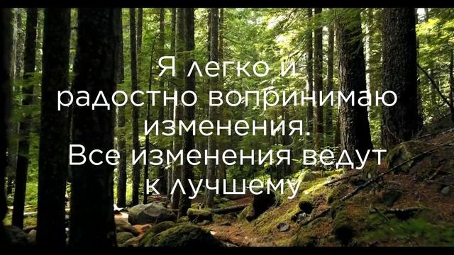 цитаты | аффирмации смотреть онлайн