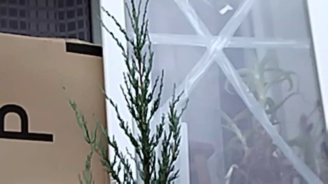 Беженцы.Ьуча оформление повреждений квартиры в ЦНАПе. смотреть онлайн