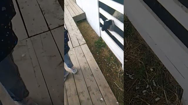 27-10-2024 смотреть онлайн