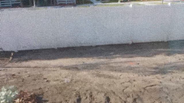 США.Кондо на продажу от 400 до 600 тыс.дол. от застройщика.