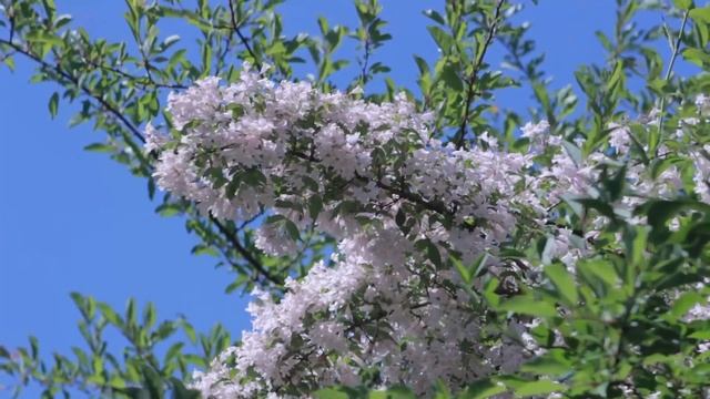 Дорогая, твою наследную квартиру мы продадим, чтобы я и дальше мог нигде не работать Заявил муж смотреть онлайн