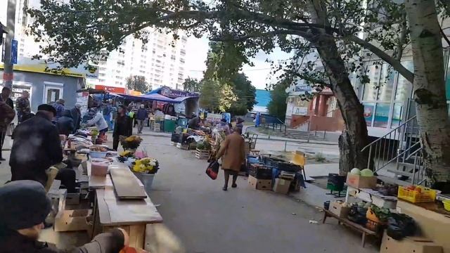 Димитрова 93 смотреть онлайн
