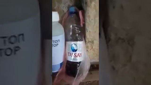 как удалить мух смотреть онлайн
