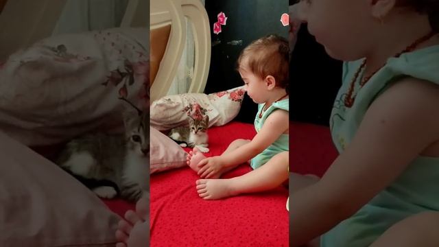 у каждого должен быть свой маленький тигр 😂 смотреть онлайн