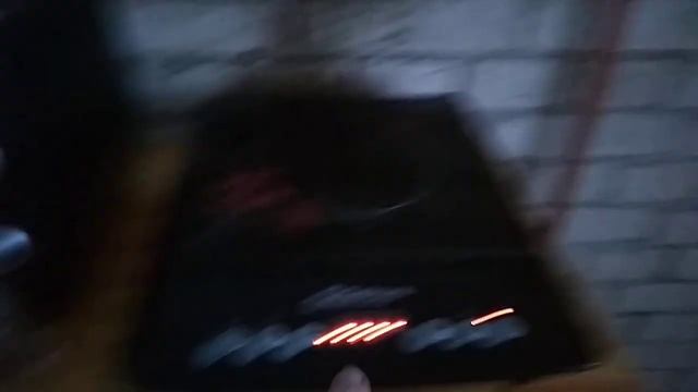 Санкт-Петербург Россия Бобочино Поляны(др.Мозjгопи)моя квартира Выборгское шоссе д.36кв.13 2023/753 смотреть онлайн