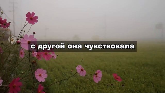 Как я разоблачил измену жены с боссом и нашел новое счастье: история предательства и возмездия смотреть онлайн