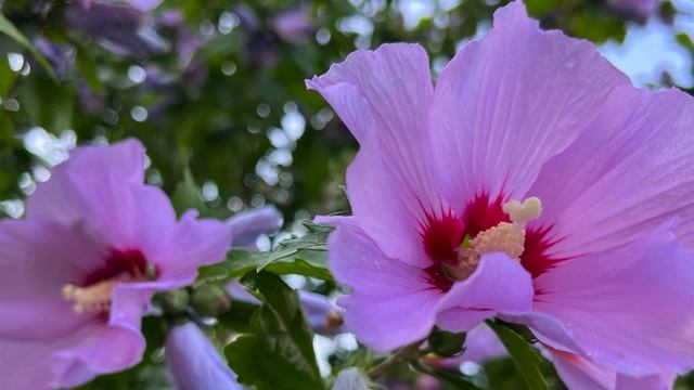 Цепь событий непростых. История из жизни. Жизненная история. Аудиорассказ. смотреть онлайн