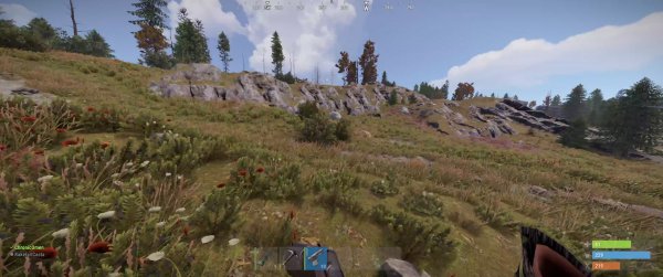 Сервер переполнен! Через 48 часов после вайпа