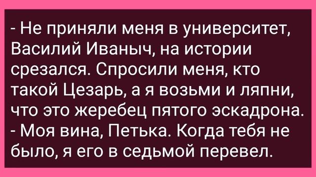 Как Барыня Мужа Обнюхивала! Большой Сборник Свежих Смешных Анекдотов! смотреть онлайн