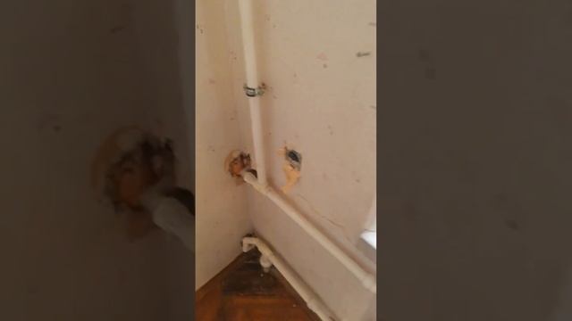 Ремонт квартир, лепнины, сантехники, электрики в старом фонде в Санкт-Петербурге 89312208788 Павел смотреть онлайн