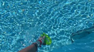 Kaya Side 5* отличный семейный отель в Турции, обзор 2024