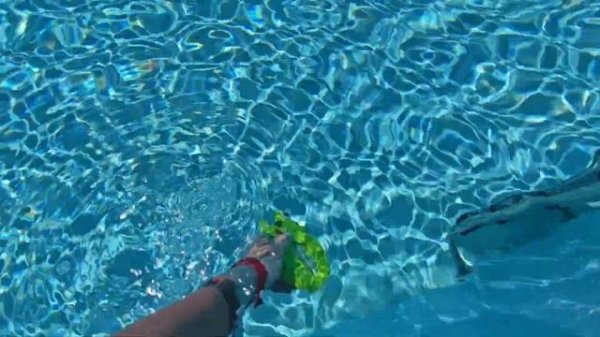 Kaya Side 5* отличный семейный отель в Турции, обзор 2024