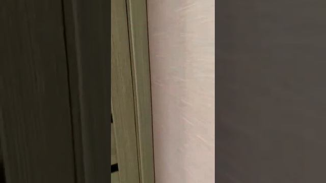 Античный проспект 26/4 10/10 ОДНОКОМНАТНАЯ КВАРТИРА смотреть онлайн