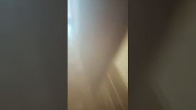 Обработка квартиры от тараканов