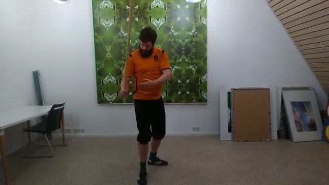 Homeschooled HEMA #4: Siebenhaar's Guard System смотреть онлайн