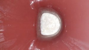 БЫСТРО ЧИСТИМ УНИТАЗ//ЛИМОННАЯ КИСЛОТА И КИПЯТОК