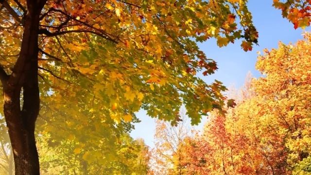 Таксист помог незнакомке поднять в квартиру чемоданы. А когда увидел там свое фото в траурной ленте смотреть онлайн