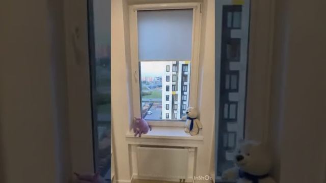 25 сентября 2023 г. смотреть онлайн