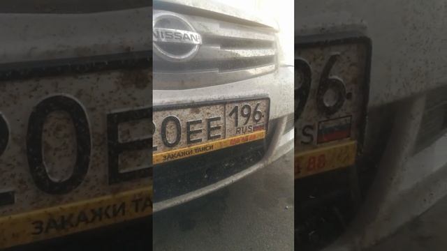 очень много мошек в Волгограде. смотреть онлайн