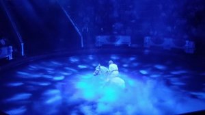 Шоу «Матрешка» легендарного Цирка Никулина на Цветном бульваре.