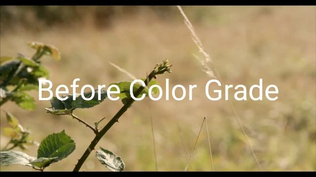 Color grade video in Android || Edit videos like a pro on Kinemaster || CINE RED смотреть онлайн