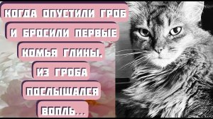 Когда опустили гроб, из него послышался вопль... ЧАПАЙКА. Автор - Светлана Волкова, читает Копылова