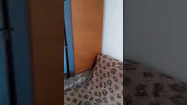 trim C865BCB5 6D27 4A4F BF62 22E3414BEAF4 смотреть онлайн