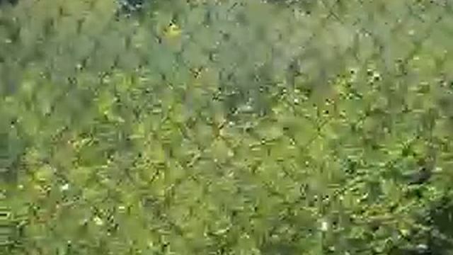 Музей ракетних військ стратегічного призначення часть №4 смотреть онлайн