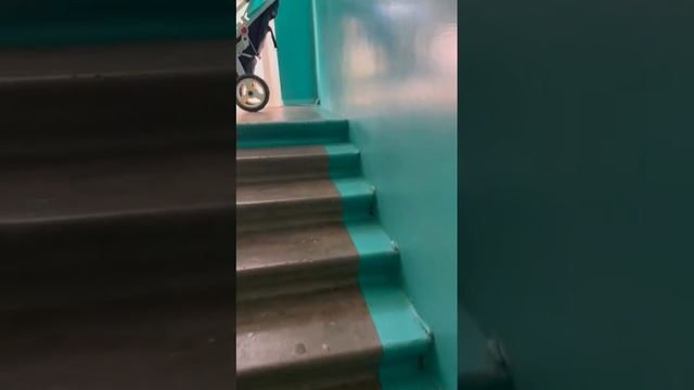 WhatsApp Video 2023 07 20 at 08 52 39 смотреть онлайн