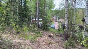 Как дешево сделать дорогу к своему участку. ч1. Вырубка леса