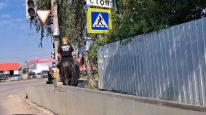 Воронеж. Масловка. Хорошо ли тут ЖИТЬ??? Полный ОБЗОР,