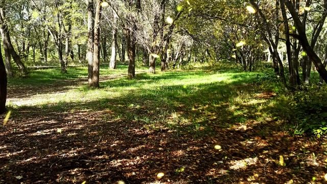 Брата, его жену и тещу, пустил на время пожить к себе. Теперь они не хотят съезжать... смотреть онлайн