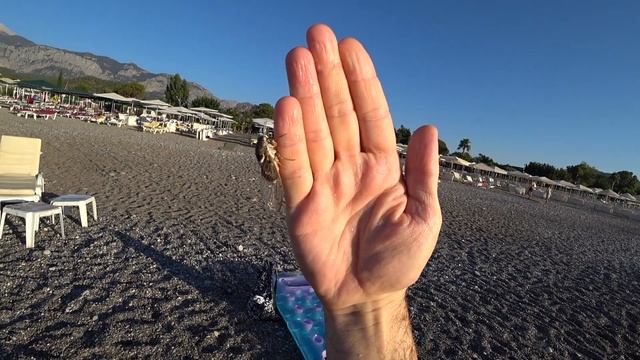 Путешествие в Турцию-Кемер, отель Pine House Hotel 4*. Начало.