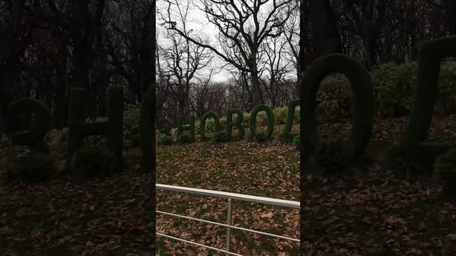 ПОХОДЫ 🏕 ЧАСТЬ ШЕСТНАДЦАТОЯ ИДЁМ НА ГОРУ ЖЕЛЕЗНОВОДСК смотреть онлайн