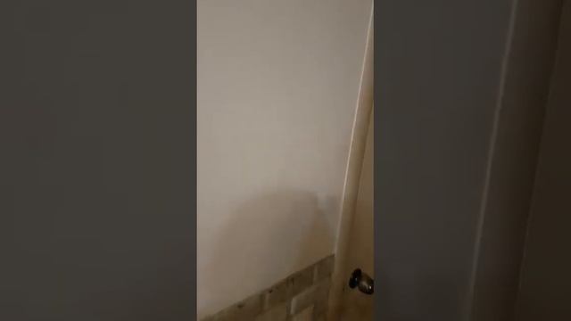 Балашиха, Студия 24 кв.м. смотреть онлайн