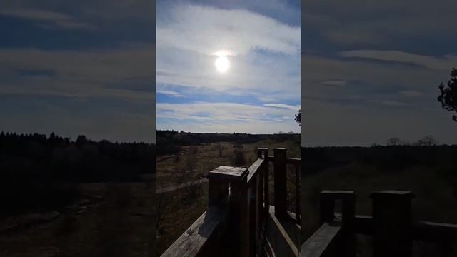 Самое красивое место в Подмосковье ❤️ смотреть онлайн
