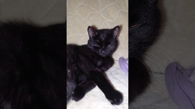 Удовольствие от жизни