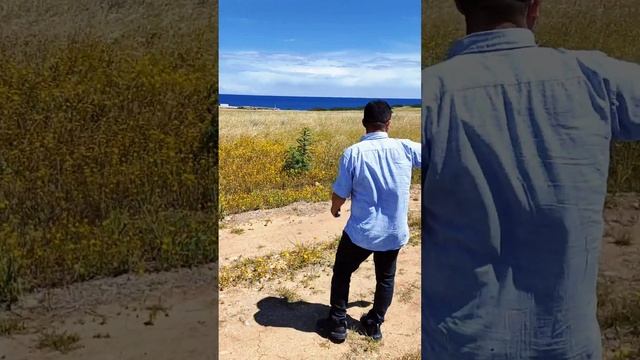 Как проходят "закрытые продажи" Только первые 100 квартир по супер цене. Только в личные сообщения смотреть онлайн