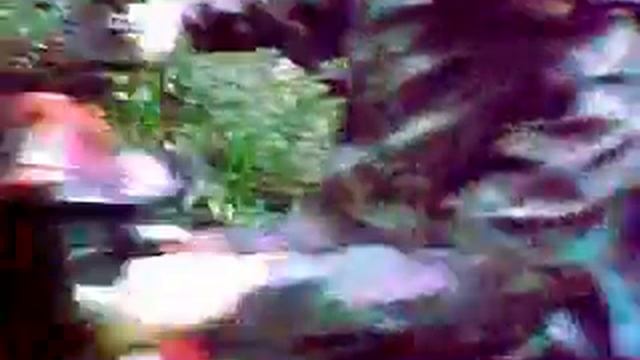 18 08 2011 покатухи рублевский лес смотреть онлайн