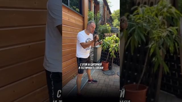 Подписчики на телеграмм канал с Авито смотреть онлайн