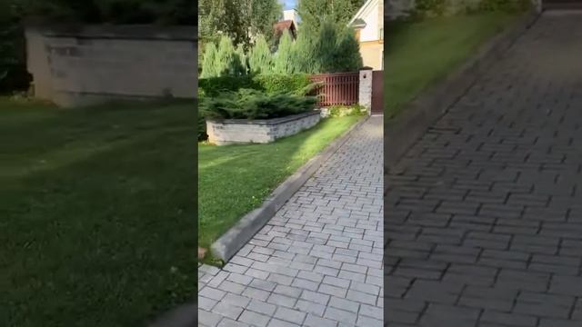 Знаменитый блогер Михаил Русанов Новогорск 7 смотреть онлайн